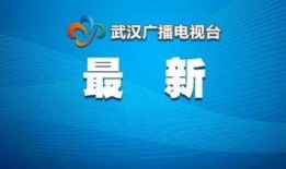 武汉新闻怎么爆料