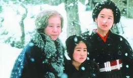 电视剧阿信在线观看,传奇人生，奋斗岁月